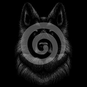 The Vector logo dog  or wolf for tattoo or T-shirt design or outwear.  Cute print style dog  or wolf  background.