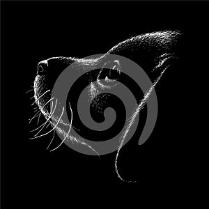 The Vector logo dog  or wolf for tattoo or T-shirt design or outwear.  Cute print style dog  or wolf  background.