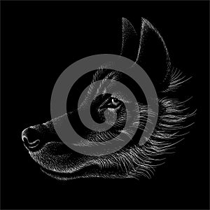 The Vector logo dog  or wolf for tattoo or T-shirt design or outwear.  Cute print style dog  or wolf  background. This hand