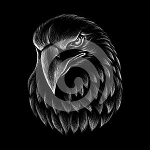 The Vector logo eagle for T-shirt design. Hunting style eagle photo