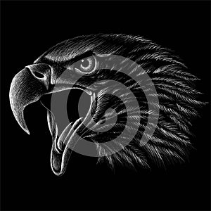 The Vector logo eagle