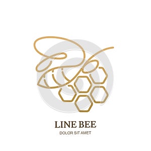 Vector logo icon or emblem with golden honeybee and honeycombs. Abstract design template. Outline bee illustration.