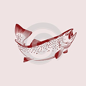 Vector logo illustration jumping trout fishing