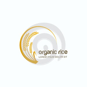 Vector logo, label or emblem with rice, wheat, rye grains. Design template for asian agriculture, cereal and bakery.