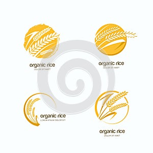 Vector logo, label or emblem with rice, wheat, rye grains. Design template for asian agriculture, cereal and bakery.