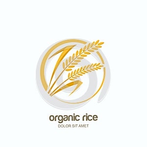 Vector logo, label or package emblem with rice, wheat, rye grains.
