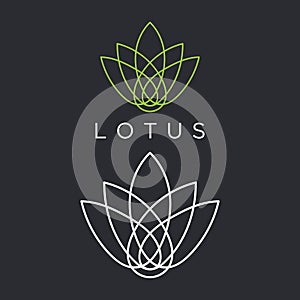 Vector logo of line art lotus plants
