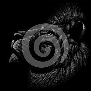 The Vector logo lion for tattoo or T-shirt print design or outwear.  Hunting style lions background.