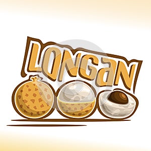 Vector logo Longan Fruit