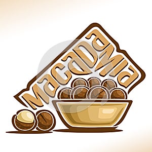 Vector logo for Macadamia Nut
