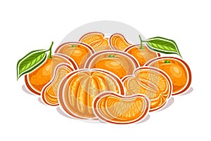 Vector logo for Mandarins