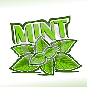 Vector logo for Mint herb