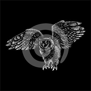 The Vector logo owl for tattoo or T-shirt design or outwear.  Hunting style owl background. This drawing would be nice to make on