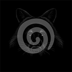 The Vector logo raccoon for T-shirt design or outwear. Hunting style raccoon background.