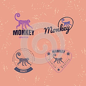Vector logo set with Jungle Monkey