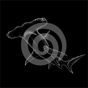 The Vector logo shark fish for T-shirt design or outwear.  Hunting style shark background