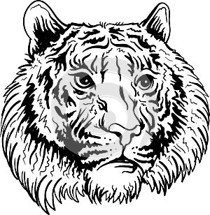 The Vector logo tiger for tattoo or T-shirt design or outwear.  Hunting style big cat print on black background.