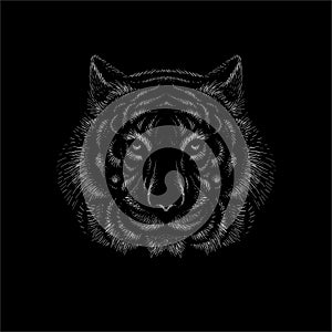 The Vector logo tiger for tattoo or T-shirt design or outwear.  Hunting style big cat print on black background. This hand drawing