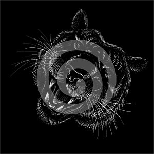 The Vector logo tiger for tattoo or T-shirt design or outwear.  Hunting style big cat print on black background. This hand drawing