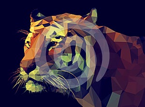 Vector low poly design. Tiger illustration.