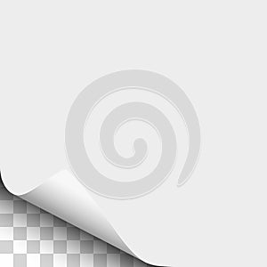 Vector lower left curl of corner of white sheet of paper