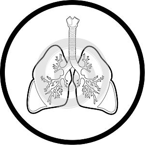 Vector lungs icon photo