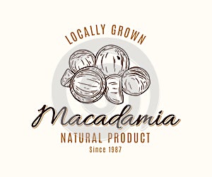 Vector macadamia logo