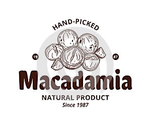 Vector macadamia logo