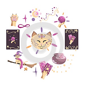Vector magic set including: witch\'s cat, divination ball, fortune-telling