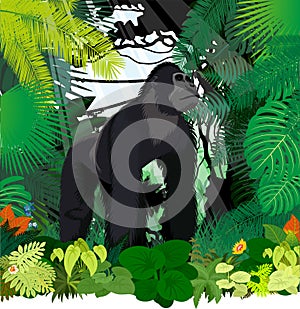 Vector male gorilla in jungle rainforest