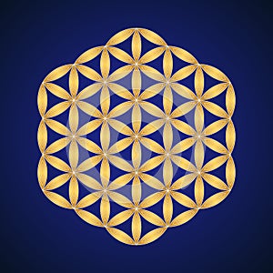 Vector mandala sacred geometry illustration