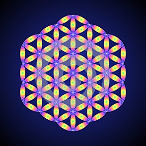 Vector mandala sacred geometry illustration