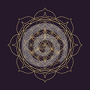 Vector mandala sacred geometry illustration