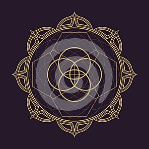 Vector mandala sacred geometry illustration