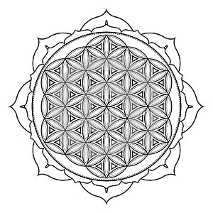 Vector mandala sacred geometry illustration