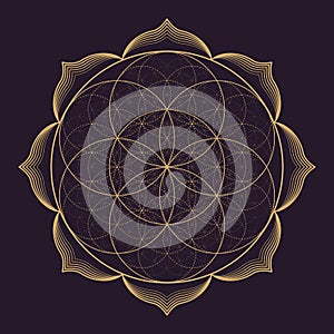 Vector mandala sacred geometry illustration photo