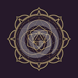 Vector mandala sacred geometry illustration