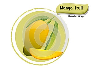 Vector Mango fruit isolated on color background,illustrator 10 eps