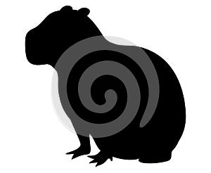 Vector marmot black silhouette for retro logos, Groundhog