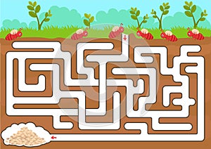 Vector maze game with find ant room photo