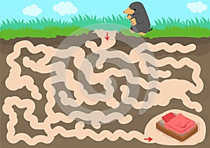 Vector maze game with find mole room