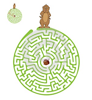 Vector Maze, Labyrinth with Marmot and Nut. photo