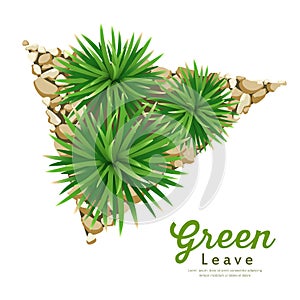 Vector Mini Mondo Grass, small tree with small stone