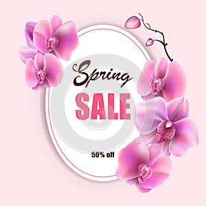 Vector mockup of banner beautiful spring pink orchids flower on background, layout for sale flyer, design illustration