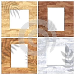 Vector Mockups set with empty white paper sheet on natural wooden background and palm leaves shadow overlay effect