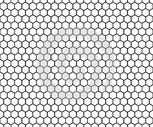 Vektor bezešvý vzor černobílý plástev medu abstraktní 