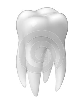 Vector molar tooth icon photo