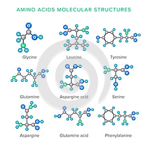 Vector molecular structures of amino acids isolated on white set photo