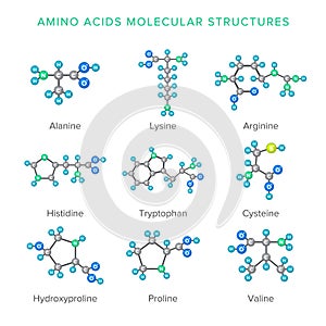 Vector molecular structures of amino acids isolated on white set photo