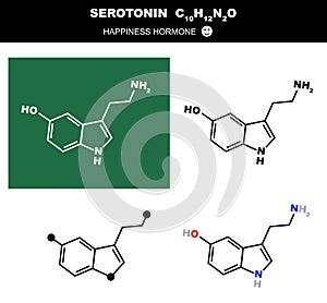 Vector molecule of serotonin